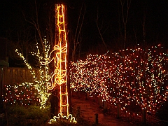 045 Toledo Zoo Light Show [2008 Dec 27]